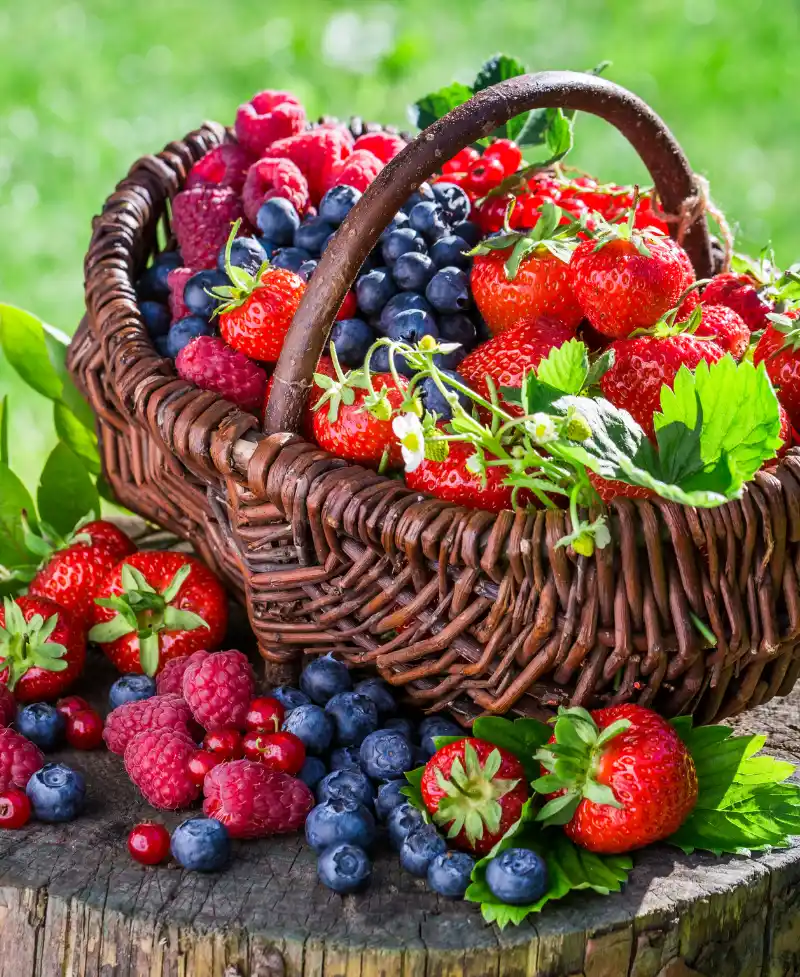 Panier gourmand rempli de fruits des bois